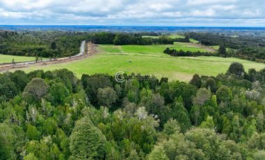 CAMPO 76 HA LOS MUERMOS