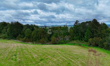 CAMPO 76 HA LOS MUERMOS