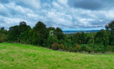 CAMPO 76 HA LOS MUERMOS