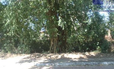 Ixtapa Venta Terreno 420 m2 Residencial campo de Golf Calle Cardenales T522