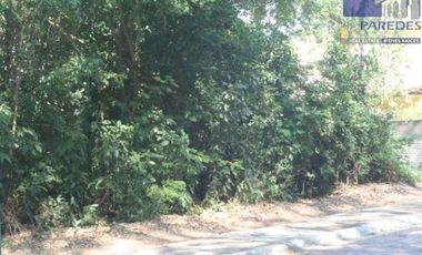 Ixtapa Venta Terreno 420 m2 Residencial campo de Golf Calle Cardenales T522