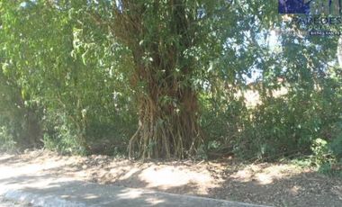 Ixtapa Venta Terreno 420 m2 Residencial campo de Golf Calle Cardenales T522