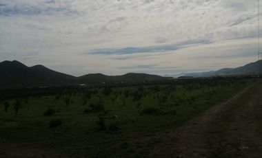 VENTA DE PARCELAS EN TAMBILLO, A 18 MINUTOS DE LA SERENA Y COQUIMBO