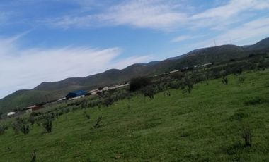 VENTA DE PARCELAS EN TAMBILLO, A 18 MINUTOS DE LA SERENA Y COQUIMBO