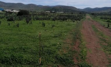 VENTA DE PARCELAS EN TAMBILLO, A 18 MINUTOS DE LA SERENA Y COQUIMBO