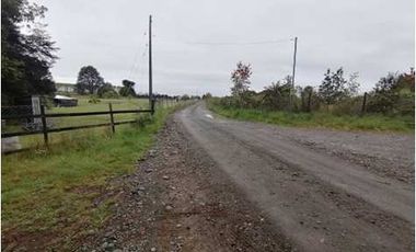 PARCELA, BOSQUE NATIVO, PUERTO VARAS