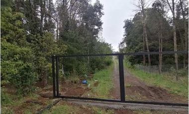 PARCELA, BOSQUE NATIVO, PUERTO VARAS