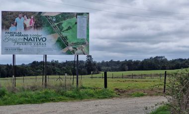 PARCELA, BOSQUE NATIVO, PUERTO VARAS