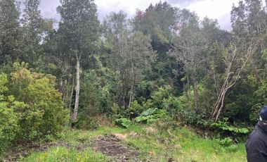 PARCELA, BOSQUE NATIVO, PUERTO VARAS