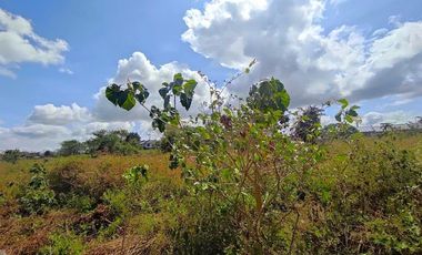 18 HECTARES COMMERCIAL-RESIDENTIAL-INDUSTRIAL LAND FOR SALE IN DASMARIÑAS CAVITE