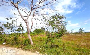 18 HECTARES COMMERCIAL-RESIDENTIAL-INDUSTRIAL LAND FOR SALE IN DASMARIÑAS CAVITE