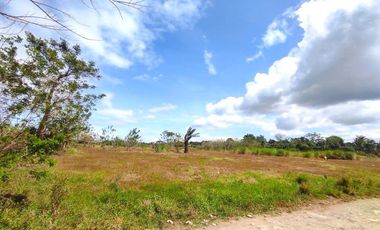 18 HECTARES COMMERCIAL-RESIDENTIAL-INDUSTRIAL LAND FOR SALE IN DASMARIÑAS CAVITE