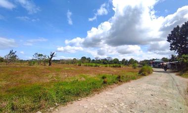 18 HECTARES COMMERCIAL-RESIDENTIAL-INDUSTRIAL LAND FOR SALE IN DASMARIÑAS CAVITE