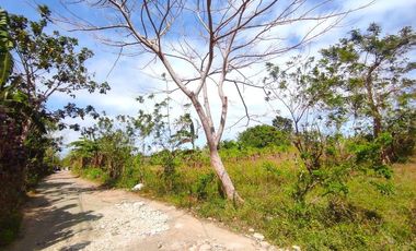 18 HECTARES COMMERCIAL-RESIDENTIAL-INDUSTRIAL LAND FOR SALE IN DASMARIÑAS CAVITE