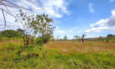 18 HECTARES COMMERCIAL-RESIDENTIAL-INDUSTRIAL LAND FOR SALE IN DASMARIÑAS CAVITE