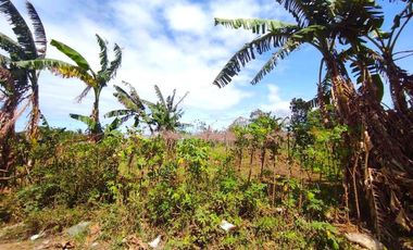 18 HECTARES COMMERCIAL-RESIDENTIAL-INDUSTRIAL LAND FOR SALE IN DASMARIÑAS CAVITE