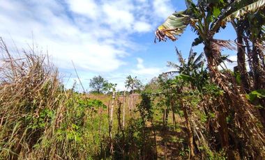 18 HECTARES COMMERCIAL-RESIDENTIAL-INDUSTRIAL LAND FOR SALE IN DASMARIÑAS CAVITE