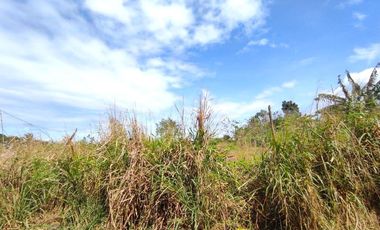 18 HECTARES COMMERCIAL-RESIDENTIAL-INDUSTRIAL LAND FOR SALE IN DASMARIÑAS CAVITE