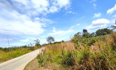 18 HECTARES COMMERCIAL-RESIDENTIAL-INDUSTRIAL LAND FOR SALE IN DASMARIÑAS CAVITE