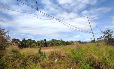 18 HECTARES COMMERCIAL-RESIDENTIAL-INDUSTRIAL LAND FOR SALE IN DASMARIÑAS CAVITE