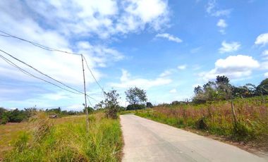 18 HECTARES COMMERCIAL-RESIDENTIAL-INDUSTRIAL LAND FOR SALE IN DASMARIÑAS CAVITE