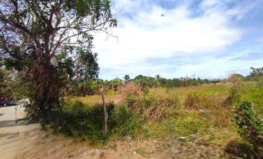 18 HECTARES COMMERCIAL-RESIDENTIAL-INDUSTRIAL LAND FOR SALE IN DASMARIÑAS CAVITE