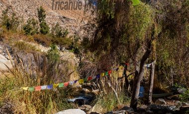 Terreno de 6.000 m2 con linda casa , cabaña y orilla de río, Cochiguaz, Valle del Elqui. $220 millones