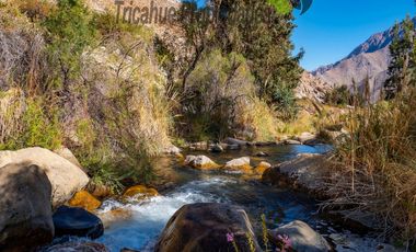 Terreno de 6.000 m2 con linda casa , cabaña y orilla de río, Cochiguaz, Valle del Elqui. $220 millones