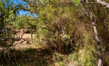 Terreno de 6.000 m2 con linda casa , cabaña y orilla de río, Cochiguaz, Valle del Elqui. $220 millones