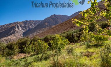 Terreno de 6.000 m2 con linda casa , cabaña y orilla de río, Cochiguaz, Valle del Elqui. $220 millones