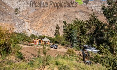 Terreno de 6.000 m2 con linda casa , cabaña y orilla de río, Cochiguaz, Valle del Elqui. $220 millones
