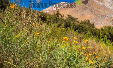 Terreno de 6.000 m2 con linda casa , cabaña y orilla de río, Cochiguaz, Valle del Elqui. $220 millones