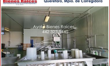 4,5 hectáreas en venta en Querétaro con Fábrica para elaboración de Quesos, Oficina y Departamento con 6 habitaciones.