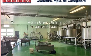 4,5 hectáreas en venta en Querétaro con Fábrica para elaboración de Quesos, Oficina y Departamento con 6 habitaciones.