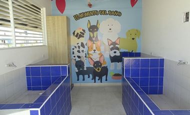 Apartamento en arriendo permanente en Ricaurte - Cundinamarca