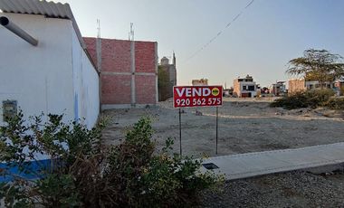 VENDO TERRENO EN LAS CASUARINA LOS PORTALES PIURA