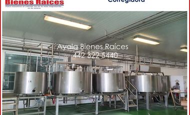 VENTA FABRICA QUE QUESOS EN QUERETARO. MAQUINARIA ITALIANA IMPECABLE, COSTO UNO DE LOS CLIENTES INTERESADOS EN EL PRODUCTO. CONTÁCTANOS AHORA MISMO.