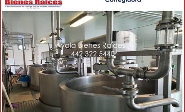 VENTA FABRICA QUE QUESOS EN QUERETARO. MAQUINARIA ITALIANA IMPECABLE, COSTO UNO DE LOS CLIENTES INTERESADOS EN EL PRODUCTO. CONTÁCTANOS AHORA MISMO.