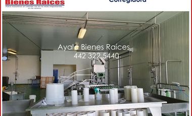 VENTA FABRICA QUE QUESOS EN QUERETARO. MAQUINARIA ITALIANA IMPECABLE, COSTO UNO DE LOS CLIENTES INTERESADOS EN EL PRODUCTO. CONTÁCTANOS AHORA MISMO.
