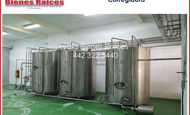 VENTA FABRICA QUE QUESOS EN QUERETARO. MAQUINARIA ITALIANA IMPECABLE, COSTO UNO DE LOS CLIENTES INTERESADOS EN EL PRODUCTO. CONTÁCTANOS AHORA MISMO.