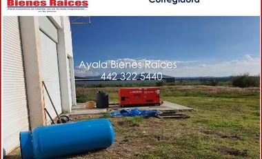 VENTA FABRICA QUE QUESOS EN QUERETARO. MAQUINARIA ITALIANA IMPECABLE, COSTO UNO DE LOS CLIENTES INTERESADOS EN EL PRODUCTO. CONTÁCTANOS AHORA MISMO.