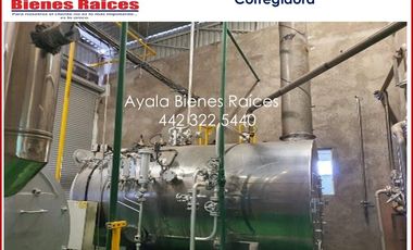 VENTA FABRICA QUE QUESOS EN QUERETARO. MAQUINARIA ITALIANA IMPECABLE, COSTO UNO DE LOS CLIENTES INTERESADOS EN EL PRODUCTO. CONTÁCTANOS AHORA MISMO.