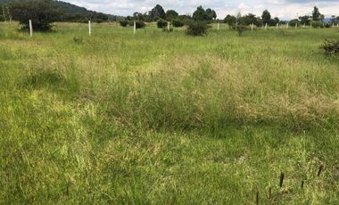 LOTES DE 500M EXCELENTES PARA CABAÑAS O CASAS DE DESCANSO.