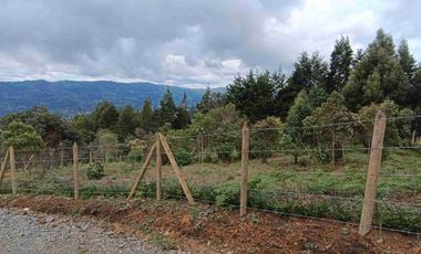 Espectacular lote en venta