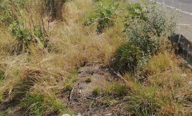 Terreno carretera a Tala Kilometro 3 frente FRACC. El Roble Zapopan