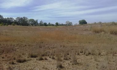 Terreno carretera a Tala Kilometro 3 frente FRACC. El Roble Zapopan