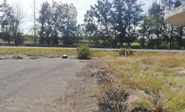 Terreno carretera a Tala Kilometro 3 frente FRACC. El Roble Zapopan