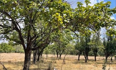 Terrenos en venta Aculco