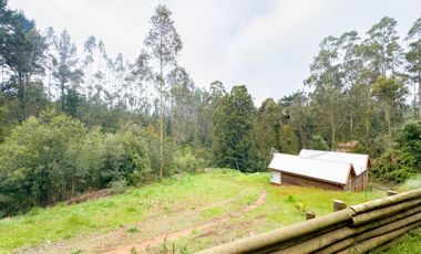 Lindas casas en Avenida Los Morros camino a Altos de Coliumo