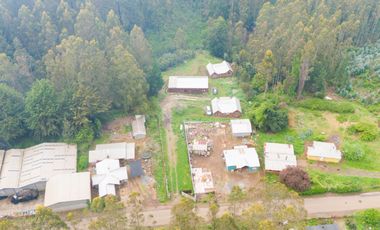 Lindas casas en Avenida Los Morros camino a Altos de Coliumo